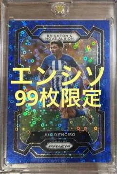 PANINI サッカーカード　エンシソ　ブライトン　99枚限定　サイン無