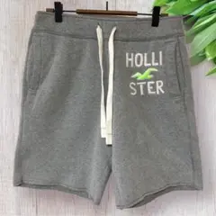 HOLLISTER ハーフパンツ S メンズ 裏起毛 ワンポイントロゴ