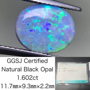 ブラックオパール 1.602ct 宝石ソーティング付き 11.7×9.3×2.2 ルース（ 裸石 ） 2806Y