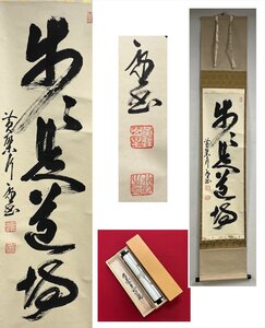 【千寿】黄檗宗 黄檗監寺 萬福寺 歩々是道場 一行書 紙本 d938◆在銘 箱 茶掛 掛軸 掛物 茶道具 同梱可 条件有 100028612　