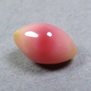 《1ctup》コンクパール(conch pearl) ルース(1.05ct)