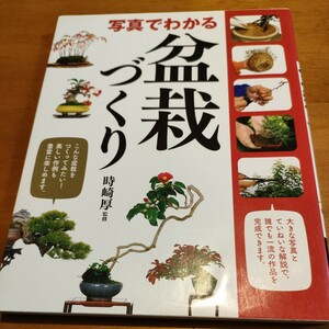 写真でわかる盆栽づくり 時崎厚／監修西東社定価1,480円＋税