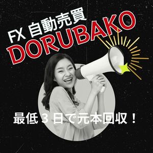 素敵な自動売買EA DORUBAKO 