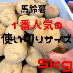 おすすめっ❗️ じゃがいも　5kg