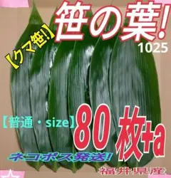 笹の葉 クマ笹 80枚（1025）自生物　ネコポス発送　福井県産