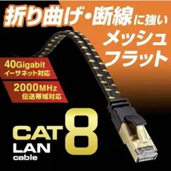 LANケーブル テレビ用 CAT8 メッシュフラット ブラック ピンク 1m