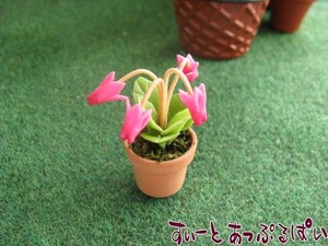 クリックポスト可 ミニチュア　鉢植えシクラメン　SMFL030　ドールハウス用