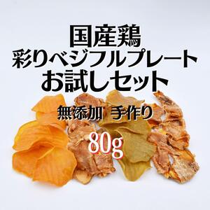 無添加 手作り 国産鶏彩りベジフルプレート お試しセットおやつ4種類 80g