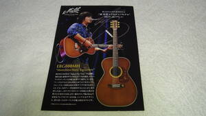 秦基博　Maton EBG808MH 　カタログポスター