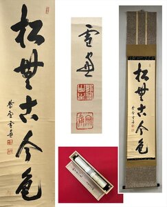 【千寿】大徳寺派 龍翔寺 小田雪窓 松無古今色 自筆 一行書 紙本 d979◆在銘 箱 茶掛 掛軸 掛物 茶道具 100028009