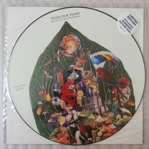 【ピクチャー盤】TEARS FOR FEARS Laid So Low ( Tears Roll Down ) LIMITED EDITION ティアーズフォーフィアーズ PICTURE DISK IDEA1712