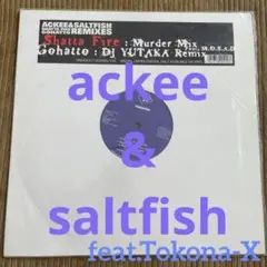 ACKEE&SALTFISH横浜レゲエ祭Tokona XトコナXMOSAD