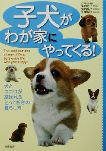 子犬がわが家にやってくる！ 犬とココロが結ばれるとっておきの暮らし方/柴内裕子(著者),柴内晶子(著者),千葉陽子(著者)