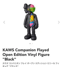 KAWS Companion Flayed Edition Figure 希少