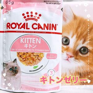 今のうちに　ロイヤルカナン　猫　子猫　キトン　ゼリー　85g19個　キャットフード