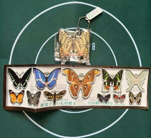 ★サイエンステクニカラー 鱗翅学者の私的標本 アクリルマスコット ギフチョウ 蝶 未使用品
