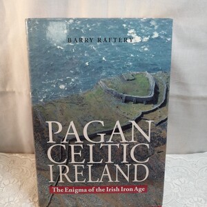 Pagan Celtic Ireland: The Enigma of the Irish Iron Age