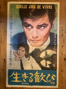 ★生きる歓び★日本版キングサイズ★アラン・ドロン★ルネ・クレマン★稀少サイズ★Alain Delon★東和★