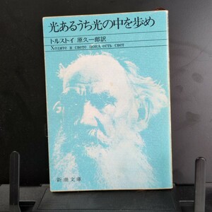 光あるうち光の中を歩め　トルストイ　ロシア文学　小説