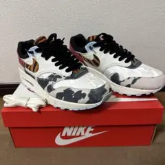 ウィメンズ NIKE AIR MAX 1  