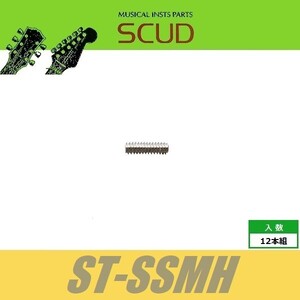 SCUD ST-SSMH　サドル上下ネジ　サドル上下ビス ミリ　Φ3 xL10mm　イモネジ　12pcs　ニッケル　ねじ　スカッド