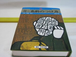 字形字星による名前のつけ方　佐藤六龍　文研出版・字形姓名術 数理 字形の見方 紫薇系 子平系 六壬系 星の吉凶 字星配合の基本原則