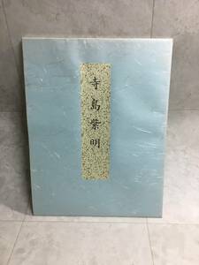 日本画 女性着物画 舞妓画 寺島 紫明 生誕100周年記念展にて販売された舞妓画 317mm x 409mm 状態いいです！！　⑮