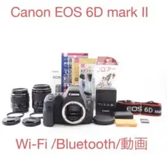 Wi-Fi /Bluetooth/動画/Canon EOS 6D mark II