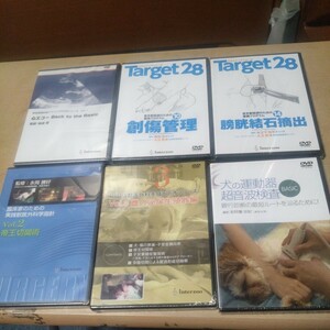 インターズー DVD 犬の運動器超音波検査 BASIC 臨床家のための実践獣医外科学指針 VOL.2 帝王切開術 他 未使用品