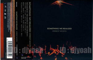 国内盤 HERBEST MOON / SOMETHING WE REALIZED ☆ ILL BOSSTINO, THA BLUE HERB, CLUB, DANCE, HIP HOP