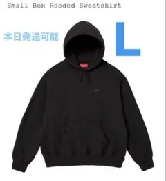 Supreme Small Box Hooded Sweatshirt