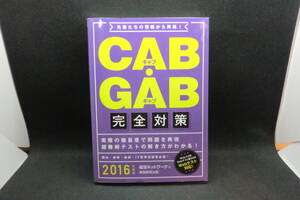 先輩たちの情報から再現！GAB・GAB　完全対策 2016年版　就活ネットワーク 編　実務教育出版　F2.240710