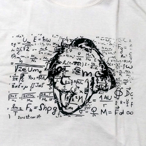 送込【アインシュタイン】Albert Einstein / 数式 / ホワイト★選べる5サイズ/S M L XL 2XL/ヘビーウェイト 5.6オンス