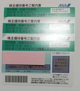 ANA株主優待券2024年12月1日～2025年11月30日まで３枚