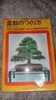 盆栽のつくり方 : 常磐木の技術