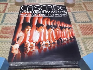 )　カスケード 【　STRAWBERRY MOON告知　ポスター　】　CASCADE　※管理番号234