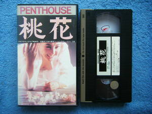 即決中古VHSビデオ・レンタル品 PENTHOUSE 韓国映画 桃花 カン・スヨン主演 1987年ヴェネツィア映画祭 / 詳細は写真5～10をご参照