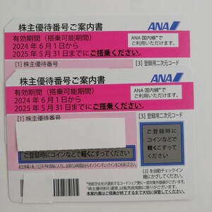 ANA株主優待券 　２枚セット　使用期限２０２5年5月31日まで