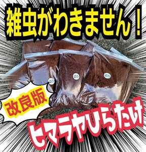 カブトムシ幼虫が大きくなる【改良版】ヒマラヤひらたけ菌床発酵マット☆幼虫の餌・産卵に抜群！栄養添加剤入☆雑虫・コバエも湧きません！