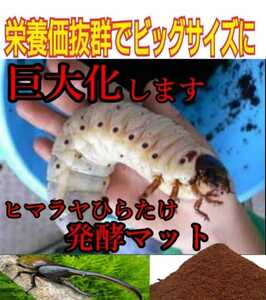 カブトムシ幼虫が大きくなる！改良版☆発酵マット【たっぷり１２袋】便利なチャック付き袋　産卵にも抜群　栄養添加剤配合　雑虫がわかない