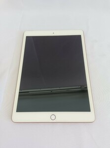 si☆1円〜中古品 iPad 第8世代 128GB Wi-Fi+Cellular ピンク MYMN2J/A A2429 docomo 〇判定 SIMロック有り 初期化済