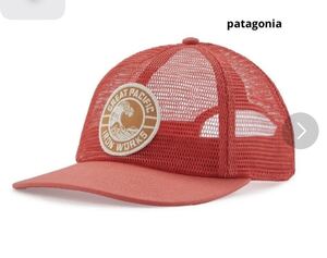 gpiw crest mesh ha patagonia パタゴニア 完売品