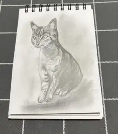 猫　鉛筆画　原画