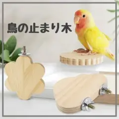 インコ 鳥 止まり木 エサ 花 フラワー 木 バード 止り木