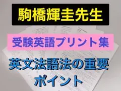 駿台 駒橋輝圭先生 英語プリント集　鉄緑会　河合塾　東進