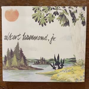 Albert Hammond jr. CD yours to keep アルバート ハモンド ジュニア