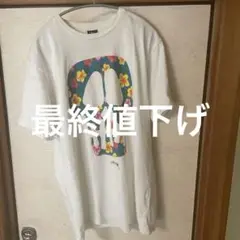 stussy tシャツ