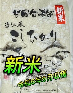 令和6年　新米　こしひかり　5kg　近江米　コシヒカリ