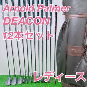 ゴルフクラブ　レディース　クラブセット　アーノルドパーマー　NTE0034