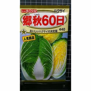 ３袋セット 郷秋 白菜 60日 種 郵便は送料無料 ハクサイ